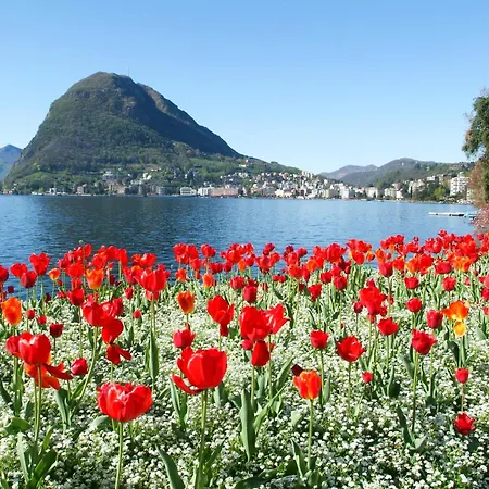 Heart & Love Of Lugano *