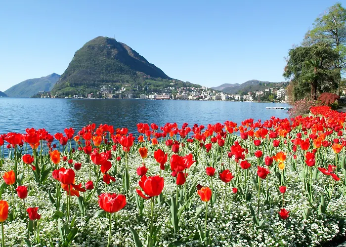 Little - Happy * Lugano